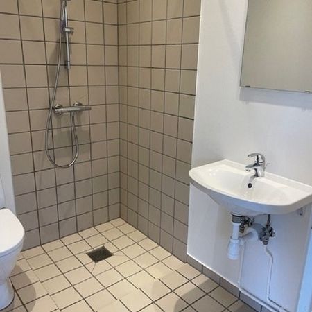 Dejlig 1-værelses lejemål i Ringe - Foto 3