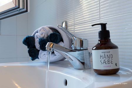 Tranquillità immersa nel verde 4.5 locali - Foto 4