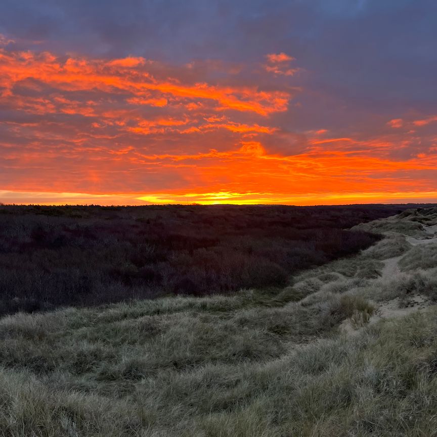 Rävstigen, Haverdal - Photo 1