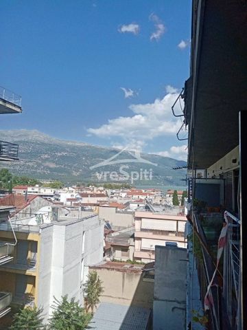 Studio/Γκαρσονιέρα για ενοικίαση Καλούτσιανη - Κουραμπάς (Ιωάννινα) - Φωτογραφία 2