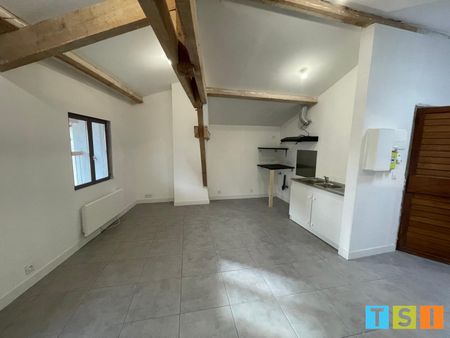 Location Appartement 2 pièces 44m² MONTREJEAU 31210 - Photo 3