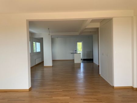 Splendide duplex de 4.5 pièces - Photo 3