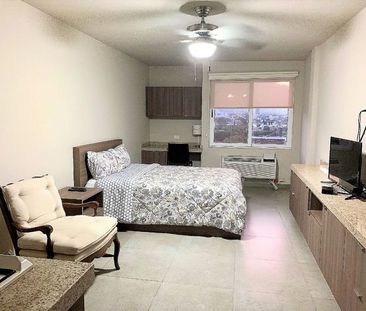 DEPARTAMENTO TIPO LOFT AMUEBLADO EN RENTA FUENTES DEL VALLE - Photo 6