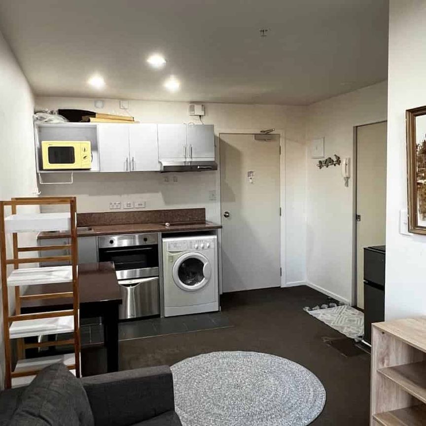 Furnished One bedroom apartment-Vincent Street - Photo 1