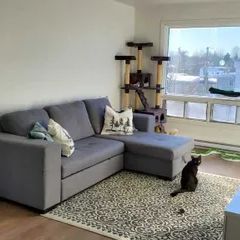 Appartement · 63 m² · Québec - Photo 3