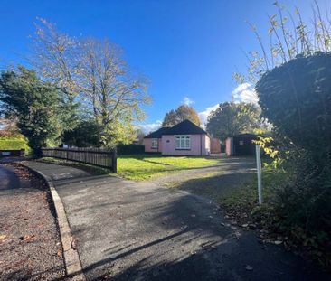 3 Bedroom Bungalow - Gloucester Close, Four Marks - Photo 2