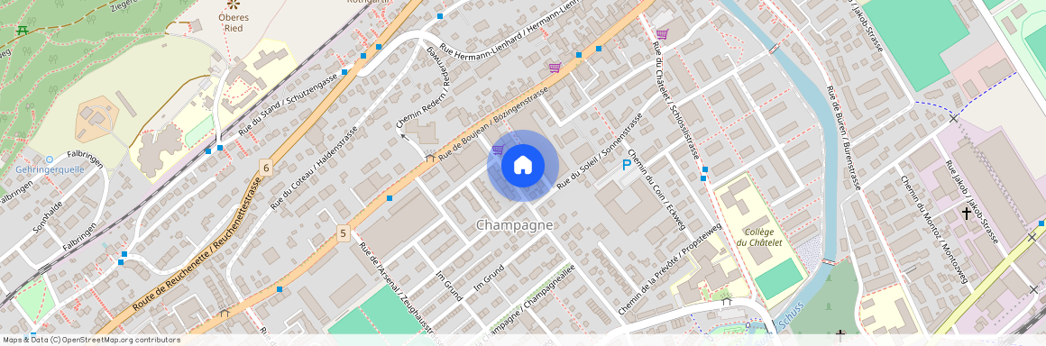 Chemin Vert 13, 2504, Biel / Bienne