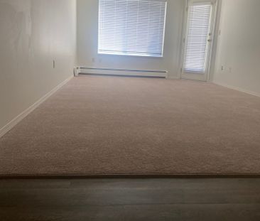 KATHARINE APARTMENTS 2BD/1BA - Photo 2