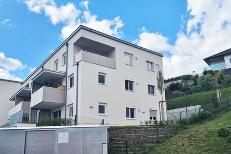 Niederwaldkirchen, In der Sonnleiten 12/3 - Photo 3