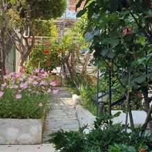 Μονοκατοικία για ενοικίαση - Αρτέμιδα (Λούτσα), - Photo 1