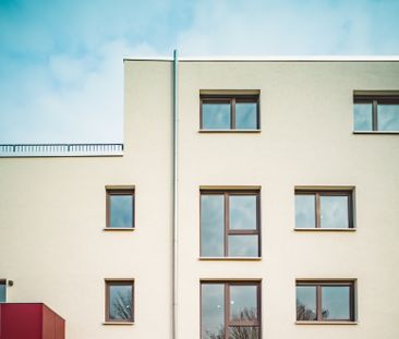 Ansehen, mieten und Traumwohnung sichern - schicke Neubauwohnung im Kleekamp // 2.OG Wohnung 1 - Photo 2