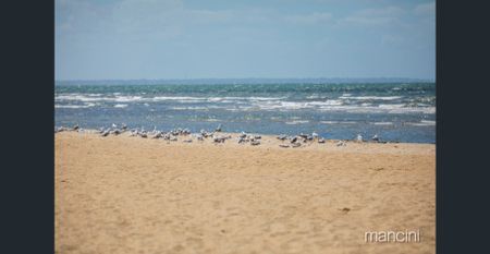 Stylish, Sophisticated, Secure Seaside Living !! - Photo 4