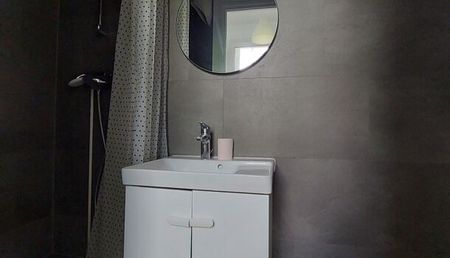 Appartement 1 pièces 18m2 REIMS 450 euros - Photo 5