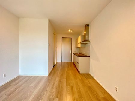 Te huur: Appartement Laakweg in Den Haag - Foto 4