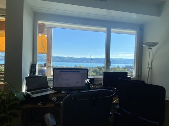 2-ROOM APARTMENT IN MÄNNEDORF (ZH), FURNISHED, TEMPORARY - Foto 1