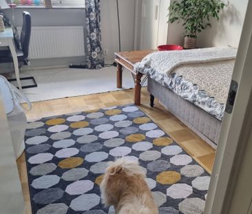 Dannemoragatan, Stockholm - Foto 4
