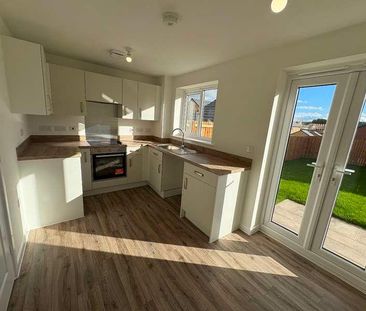 Crown Gardens, Mansfield, NG19 - Photo 6