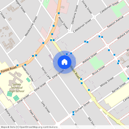 113 Willison Rd, NSW 2218, Carlton