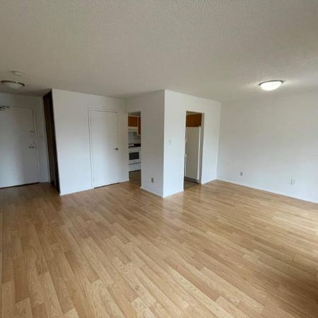 1 CH - 1 SDB - Côte Saint-Luc - $1,240 /mo - Photo 3