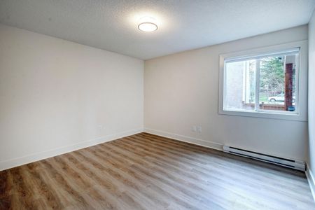 Quadra Village Apartments - Photo 2