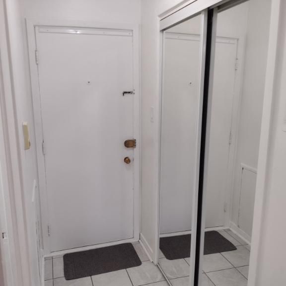 1 1/2 - Montréal (Le Plateau Mont-Royal) - 1 250 $/mois - Photo 1