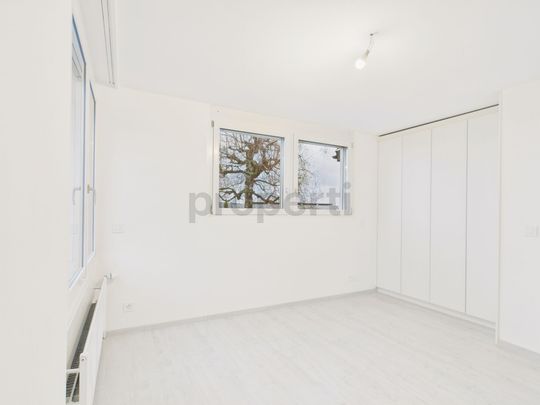 Modern 6.5 pièces row-house rénovée avec jardin à La Neuveville - Foto 1