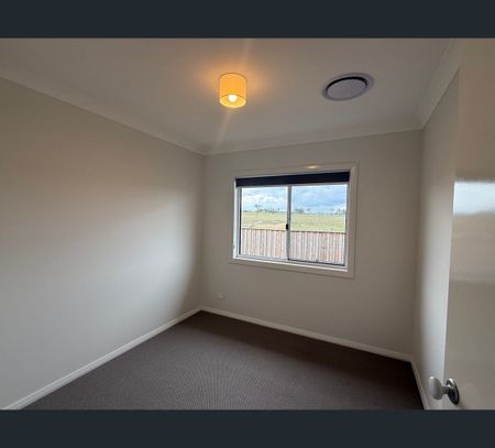 14 Leyland Cct, Lochinvar, NSW 2321 - Photo 3