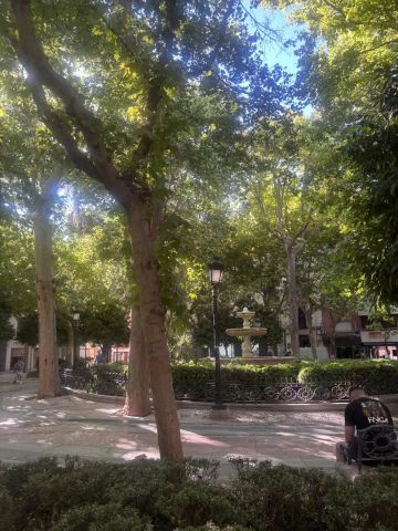 Granada - Photo 4