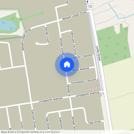 6 Mace Avenue, Richmond Hill, ON L4E 1K8