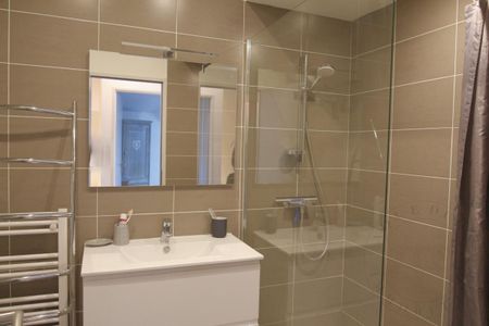 Location Appartement 2 pièces Meublé 67m² CHAPONOST 69630 - Photo 5