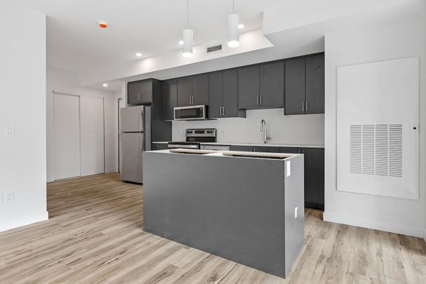 177 Armstrong Street, Hintonburg - Mechanicsville, Ottawa, ON - Photo 1