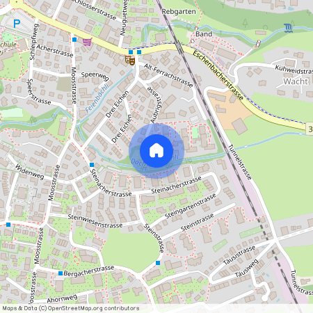 Alt-Ferrachstrasse 37 b, 8630 Rüti ZH