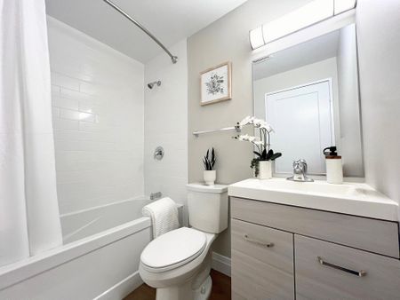 Tillson Apts 4 - ALL INCLUSIVE - Photo 5