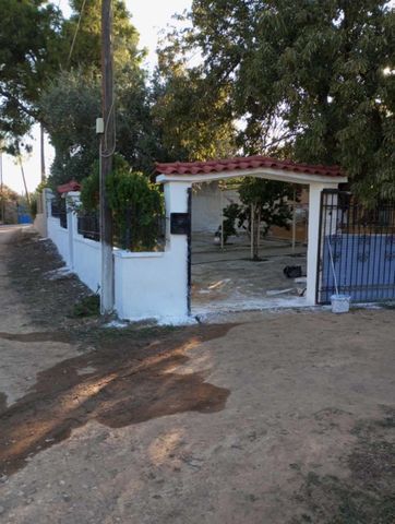 Μονοκατοικία για ενοικίαση - Σαλαμίνα, - Photo 5