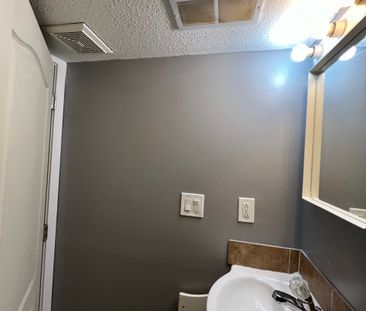 PRICE DROPPED! RENOVATED! 2 BDRM MAIN-BASEMENT!!! IN DOWNTOWN - Photo 5