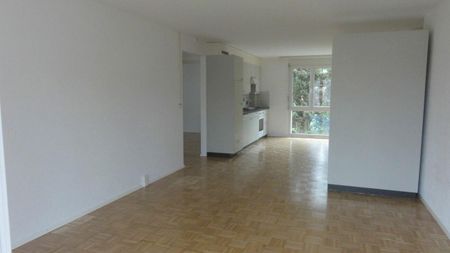 3.5 Zimmer Wohnung - Photo 3