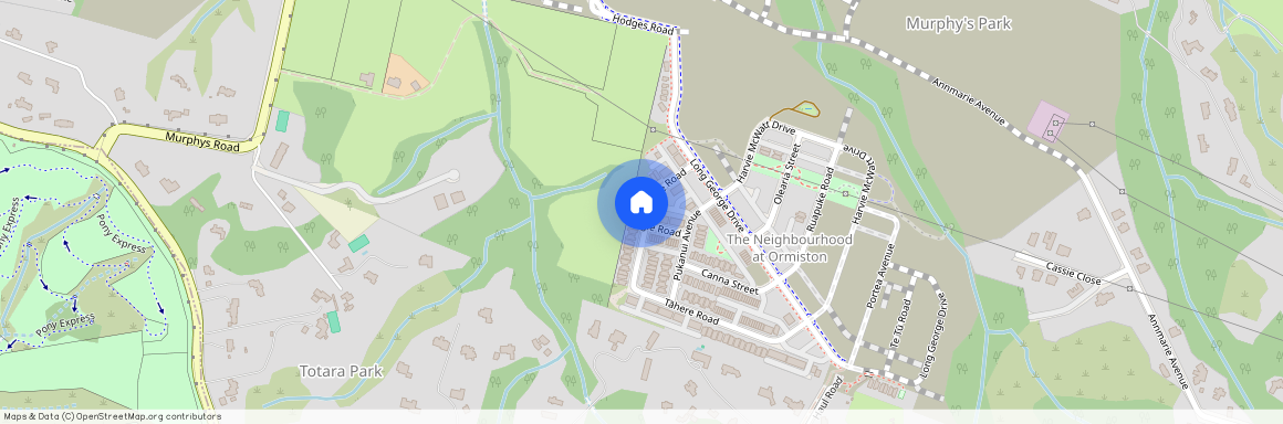 8 Bugle Road, Flat Bush, Manukau City