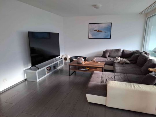 4.5 Zimmer, 115 m², 1. Stock - Photo 1