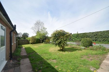 2 bedroom bungalow to rent - Photo 4