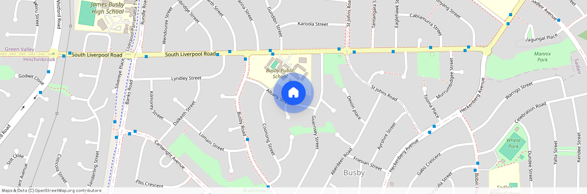 9a Albany Street, NSW 2168, Busby