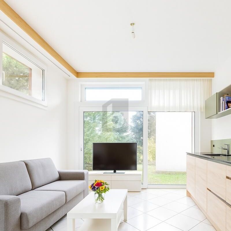 LUMINOUS, SPACIOUS AND SITUATED IN A QUIET AREA - Photo 1