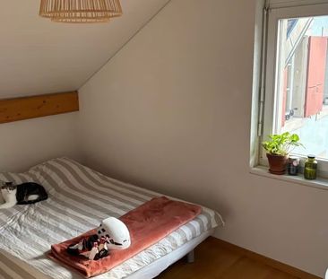 3.5 Zimmer, 84 m² - Foto 3