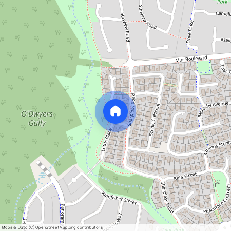 5 Forest View Crescent, Qld 4300, Springfield