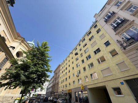 Stylische City-Garconniere + ca. 30 m² TERRASSE + RUHIG + nächst MARIAHILFER STRASSE + SONNIG! - Photo 5