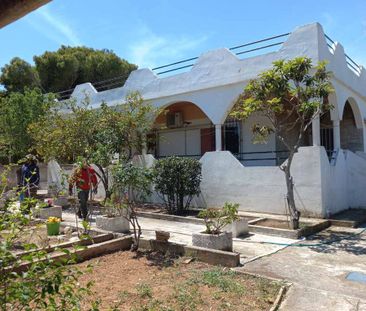 Μονοκατοικία για ενοικίαση - Αρτέμιδα (Λούτσα), - Photo 2