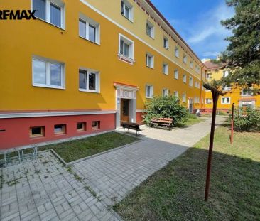 K pronájmu útulný byt 3+1 v přízemí – ideální pro klidné bydlení i ... - Photo 4