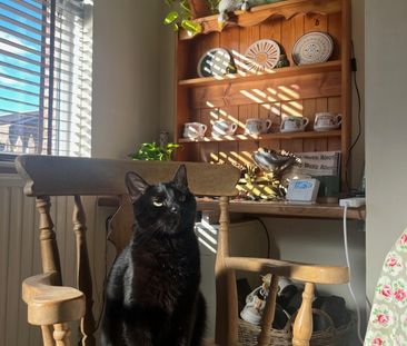 Room in a Shared House, Warrels Mount, LS13 - Photo 1