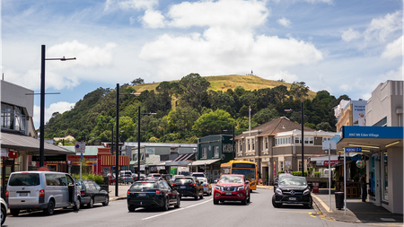 Charming 2BR Unit in Mt. Eden - Photo 3