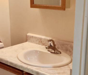 For Lease - 22 Buena Vista Avenue Unit# Lower unit, Toronto, Ontario - Photo 4