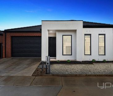 21 Mavi Avenue, MELTON - Photo 1